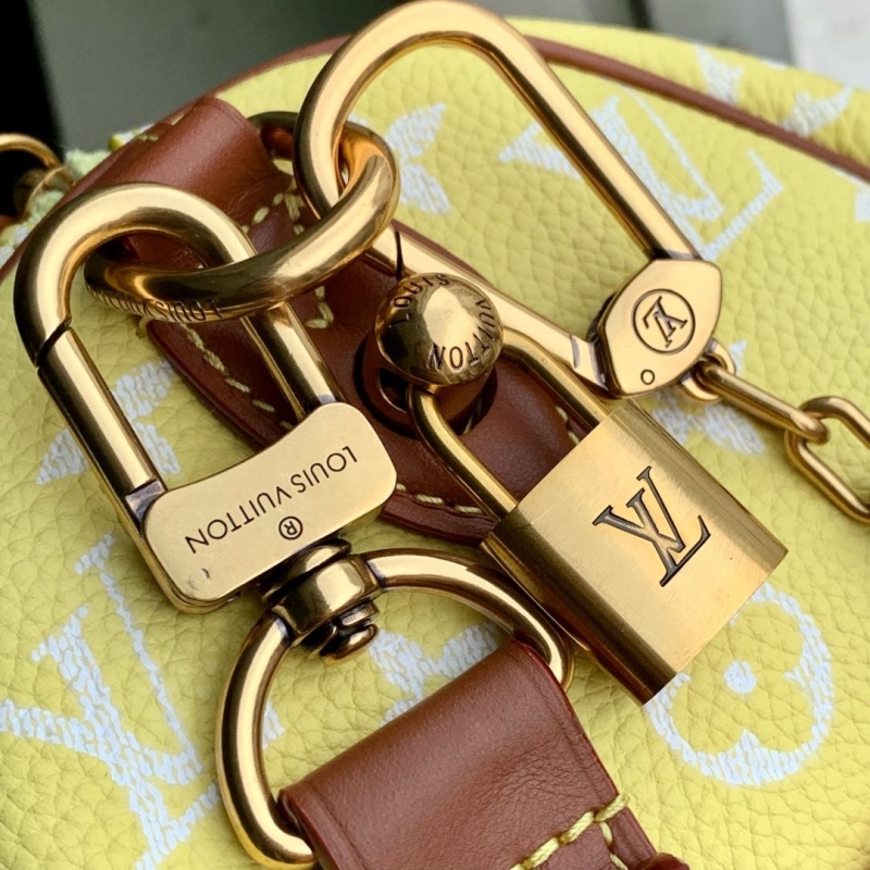 LV Speedy Bags